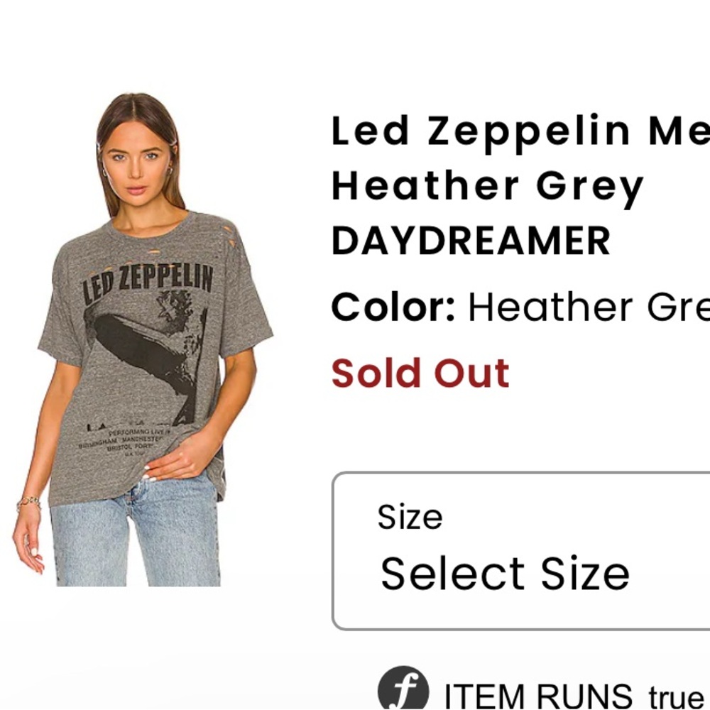 SOLD OUT daydreamer Led zeppelin distressed heather grey merch tee oversized